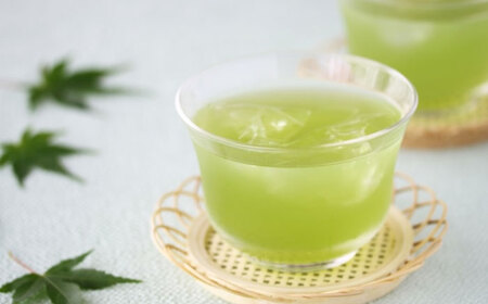 八女茶【特上】煎茶セット 100g×2袋 [VEH018]
