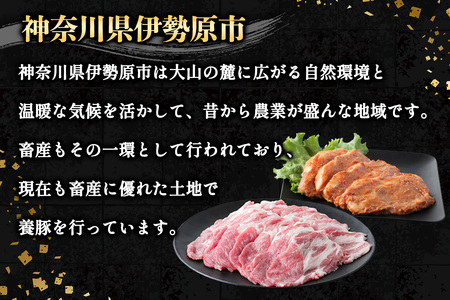 [小分けで便利！] 絶品 やさいハウス ハーブポークとん漬け・豚肉セット 500g [0726]