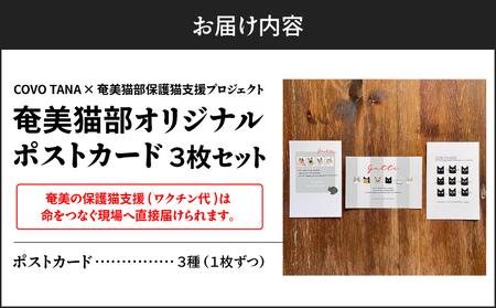 【 奄美 の 保護猫支援 （ ワクチン 代 ）】 ＋ ポストカード 3枚 セット A071-007 お手紙 猫デザイン 3種 オリジナルポストカード 保護猫プロジェクト cafeCOVOTANA ふるさと納税 鹿児島 奄美市 おすすめ ランキング プレゼント ギフト