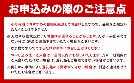 岡山白桃 ニューピオーネ 計800g 詰合せ 株式会社はちや【配送不可地域あり】