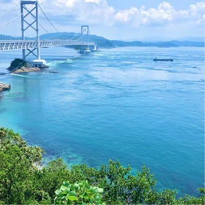 定期【1か月1回配送 計6回】【くせ毛用】しっとり髪の乳液 リペアエマルジョン【092020-2】