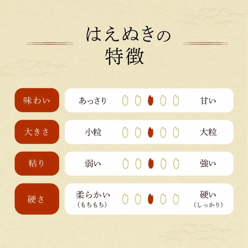 令和7年産　「菜な八」のお米　はえぬき5kg（5kg×1袋）　庄内観光物産館