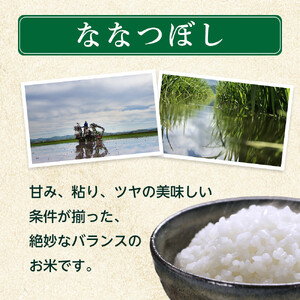 ZIP!で紹介！【定期便】令和7年産　ななつぼし 無洗米 真空パック 5kg×1袋　6ヶ月隔月発送 | ななつぼし 北海道 限定_05565
