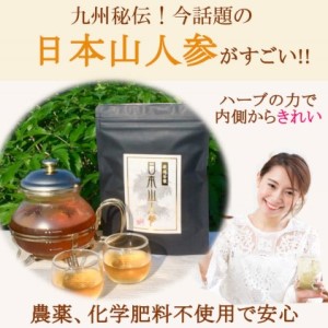 ★希少★日本山人参で健康に！1か月分セット！ 飲料類 お茶 野菜/人参 