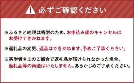 ガラムマサラ KAORI （20g×1個） ／ スパイス ミックススパイス 調味料 料理 調理 北海道 北広島市 常温
