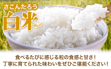 白米 10kg さこんたろう《90日以内に発送予定(土日祝除く)》熊本県 御船町 コメ おこめ 白米 ごはん 熊本県産
