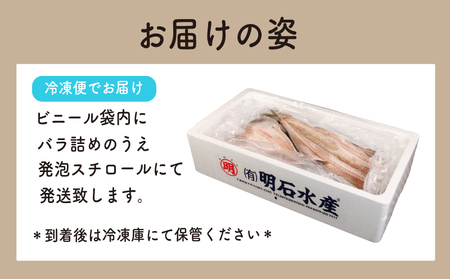 豪快 ホッケ 開き 約3kg （約500g × 6尾） ホッケ
