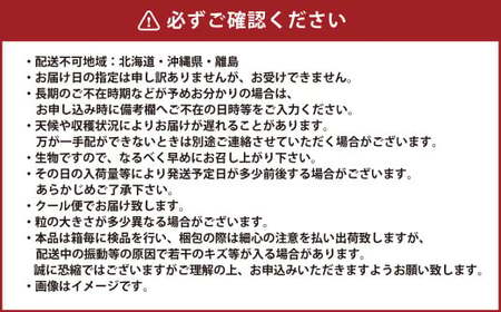 岡山県産 ニューピオーネ 約800g（400g×2房） 【2026年8月下旬～9月下旬迄発送予定】 果物 くだもの フルーツ ぶどう ブドウ 葡萄