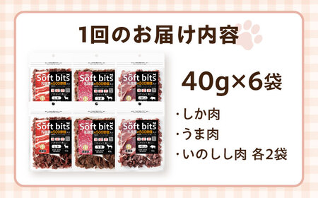 【全12回定期便】Softbits  ドッグフード 肉アソート（40g×6P） / ドッグフード 犬 いぬ ドッグ おやつ ペットフード / 大村市 / サポート[ACAM033]