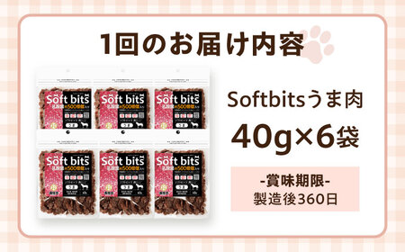 【全3回定期便】Softbits ドッグフード 馬（40g×6P）/ ドッグフード 犬 いぬ ドッグ おやつ ペットフード / 大村市 / サポート[ACAM037]