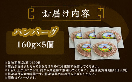短角牛 ハンバーグ 160g×5[BEAI089]