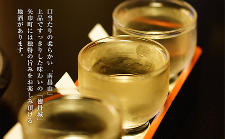 矢巾町産酒米『ぎんおとめ』100％使用！純米吟醸 お試しセット　南昌山・徳丹城　300ml×各1本　計2本/酒 お酒 日本酒 米 こめ 矢巾町 人気返礼品 国産 安心 安全 高品質 特産品 名産品 地酒 純米吟醸 コメ セット 詰合せ ギフト箱入 国産