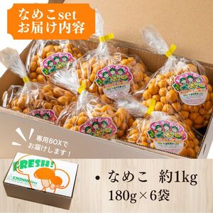 なめこ 約1kg（180g×6）セット【北海道きのこ品評会 最優秀賞受賞】【遠藤農産】きのこ キノコ セット 詰め合わせ 滑子 国産 北海道産 北海道 比布町 ぴっぷ 1002-004