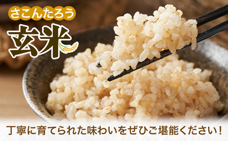 玄米 5kg さこんたろう《90日以内に発送予定(土日祝除く)》熊本県 御船町 コメ おこめ ごはん 熊本県産