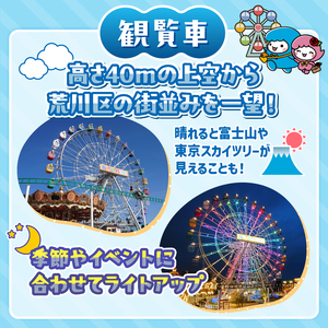 あらかわ遊園フリーパス(大人2枚＋未就学児1枚)3枚セット【015-005】