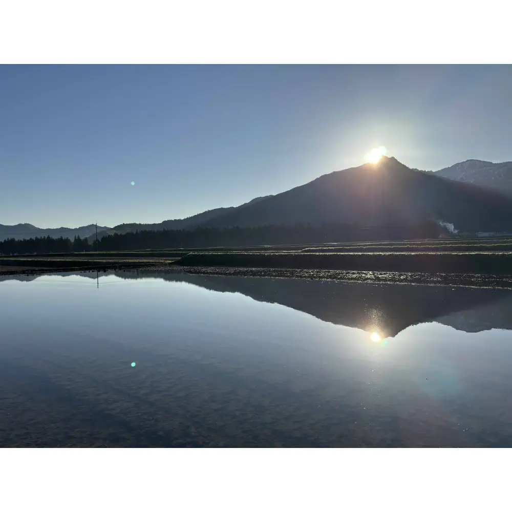 【令和7年産】南魚沼塩沢産コシヒカリ＜yusui＞10kg白米【銘柄米 ブランド米 精米 こしひかり コシヒカリ 魚沼産 新潟米 産地直送 お米 米 こめ コメ ご飯 御飯 ごはん】
