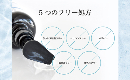 6回 定期便 サロン・ド・オーデ ハイドロリペア シャンプー ＆ トリートメント つめかえ用 各 440ml 2個 セット 合計 12個 ダメージ補修 液体 アロインス製薬 美容 美容品 化粧品 高知 高知県 四万十 四万十市 しまんと 25-106