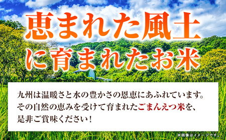 【隔月6回定期便】 米 無洗米 ごまんえつ米 10kg 5kg×2袋 米 こめ 定期便 家庭用 備蓄 熊本県 長洲町 くまもと ブレンド米 熊本県産 訳あり 常温 配送 《お申込み翌月から出荷》