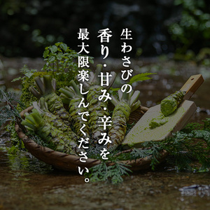 伊豆天城産 生わさび 4～5本 計300g 調味料 薬味 わさび 山葵 生山葵 ワサビ 生ワサビ 刺身 寿司 新鮮 河津町産 静岡県産