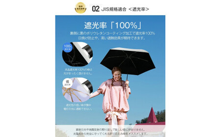 自動開閉折りたたみ傘 6本骨　水色× ホワイト　【11100-2040】