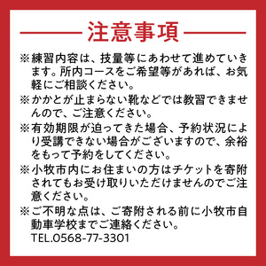 小牧市自動車学校のペーパードライバー教習(1時限分)チケット ［186A02］ 小牧市自動車学校 ペーパードライバー 教習 1時限分 チケット 1枚 路上コース 小牧市内 観光スポット巡り 初心者 サポート 運転 不安解消 ドライビングレッスン 自動車学校 愛知県 小牧市 送料無料