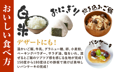 米 令和7年産 こしひかり コシヒカリ 白米 5kg アッシーリス 株式会社ヤマナカ《30日以内に出荷予定(土日祝除く）》茨城県 結城市 こめ お米 ご飯 鬼怒川 精米