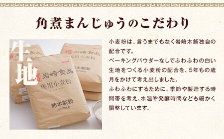 【7営業日以内に発送予定】長崎角煮まんじゅう 10個（袋） 角煮まんじゅう 角煮まん 角煮 豚角煮 豚の角煮 冷凍