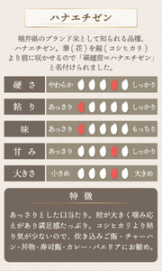 ハナエチゼン 玄米 5kg（5kg×1）令和7年産[095-a012_B]