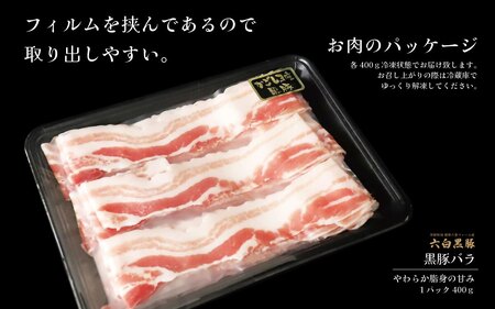 【お肉たっぷり種類が選べる】 黒豚・黒牛しゃぶしゃぶ"専門店" SATSUMA 温泉水の黒豚バラ肉すきしゃぶ セット（2～3人前）鹿児島 本場 黒豚 すき焼き しゃぶしゃぶ すきしゃぶ  AS-597-1