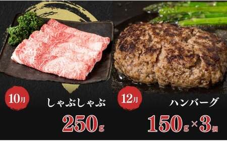 【佐賀牛定期便！偶数月にお届け☆】食卓彩り定期便 通年6回コース【有田まちづくり公社】佐賀牛 牛肉 黒毛和牛 極上の佐賀牛 厳選 お肉 おにく カルビ焼肉 ロースブロック バラスライス ロースステーキ しゃぶしゃぶ ハンバーグ 6回 定期便 ギフト 贈り物 贈答 10万円 N100-21