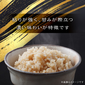 【令和7年産】伊藤農園の特別栽培米ゆめぴりか 玄米（10kg）