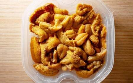 生うに 100g うに ウニ キタムラサキウニ 塩水パック 魚介類 水産物 海産物 海鮮 ホイル焼き 茶わん蒸し パスタ うに鍋 うにしゃぶ 刺身 ウニ丼 海鮮丼 手巻き寿司 海の幸 北海道 小樽市【2026年6月上旬-7月下旬 発送予定】