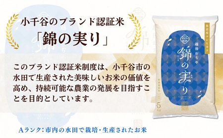 魚沼産コシヒカリ ブランド認証米「錦の実り」特AランクとAランク 食べ比べ10kg(5キロ2袋) | 新潟県 魚沼 令和7年