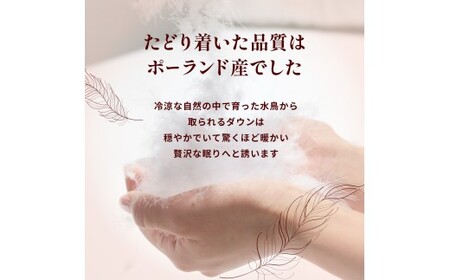 【カバー付き ネイビー】羽毛ふとん ポーランドダックダウン85％ セミダブル | 寝具 布団
