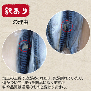 訳あり 昆布塩さば 3kg