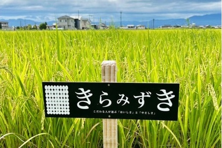 【令和8年】先行予約　近江米『きらみずき』　化学肥料不使用米　5キロ（鮮度保持袋） DT-0009s