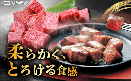 【6月発送】飛騨牛 サイコロステーキ 部位おまかせ 1kg A5等級 和牛 ブランド牛 国産 牛肉 多治見市 / 渡辺精肉店 [TAZ042-6]
