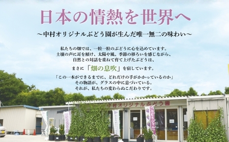 ぶどうジュース 100%  砂糖不使用 無添加 無加水　G20大阪サミット提供