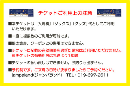 大人から子どもまで本気で遊べる！やはばアスレチックパークjampaland(ジャンパランド)利用券　500円券×10枚/アスレチックパーク jampaland ジャンパランド トランポリン スポンジピット ボルダリング スラックライン バトルビーム チケット 回数券 矢巾町