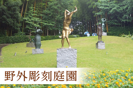 美術館入館チケットと特別ガイドツアー 1名様分 予約 入館 チケット 特別 ガイド ツアー 旅行 美術館 展示 彫刻 庭園 カフェ 食事 笠間日動美術館 芸術 美術 茨城県 笠間市 KI-002