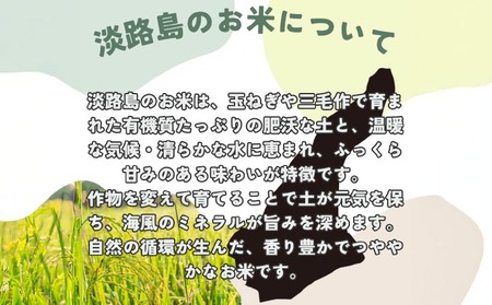 令和7年産新米　淡路島産こしひかり　玄米10kg