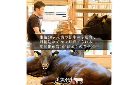 【3回定期便H】牛肉 美熊野牛 牛肉定期便【okad-tkb0018】