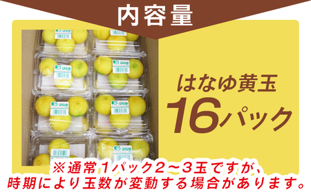 【2026年11月以降順次配送】柚子 花柚子(黄玉) 16パック 国産 柑橘 hy-0004