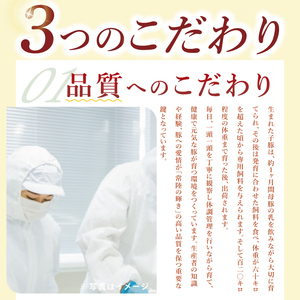 【茨城県共通返礼品/鉾田市】国産常陸の輝き豚バラスライス 1.0kg(250ｇ×4Ｐ) | 霜降り 柔らかい 高品質 茨城県産(92-11)