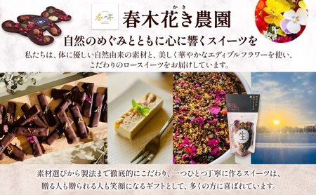 RAWチョコレート ガーデンベアーズ カシューナッツ 65g×1個 ローチョコレート ロースイーツ ヴィーガン グルテンフリー スイーツ ギフト アレルギー対応 乳製品不使用 白砂糖不使用 春木花き農園 北海道 月形町