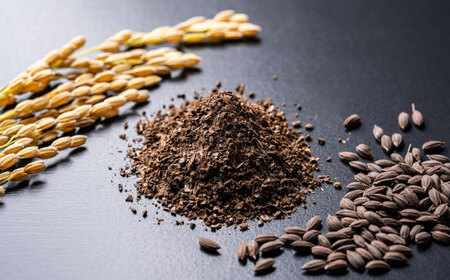 玄米 珈琲「お米のシリカ」ティーパック 1箱 計16包（2パック各8包） [AQDN001] 玄米 コーヒー