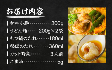 【全国放送されました】 元祖味噌もつ鍋セット 3人前 野菜有 追加たれ付き 吉富町/焼肉・もつ鍋平壌屋[BGBU001]