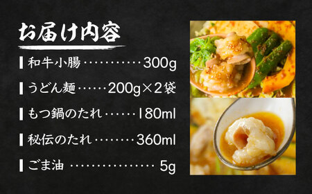 【全国放送されました】 元祖味噌もつ鍋セット 3人前 野菜無し 追加たれ付き 吉富町/焼肉・もつ鍋平壌屋[BGBU002]
