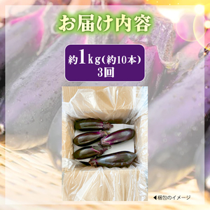 なす 約1㎏ 約10本 3回定期便 高知県安芸市｜ナス AR004