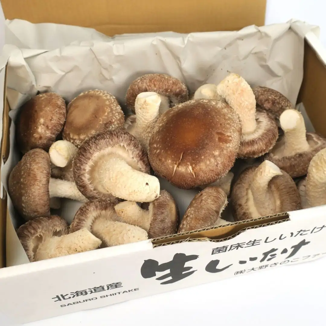 北海道の自然で育った極撰肉厚しいたけ【贈答にも】
